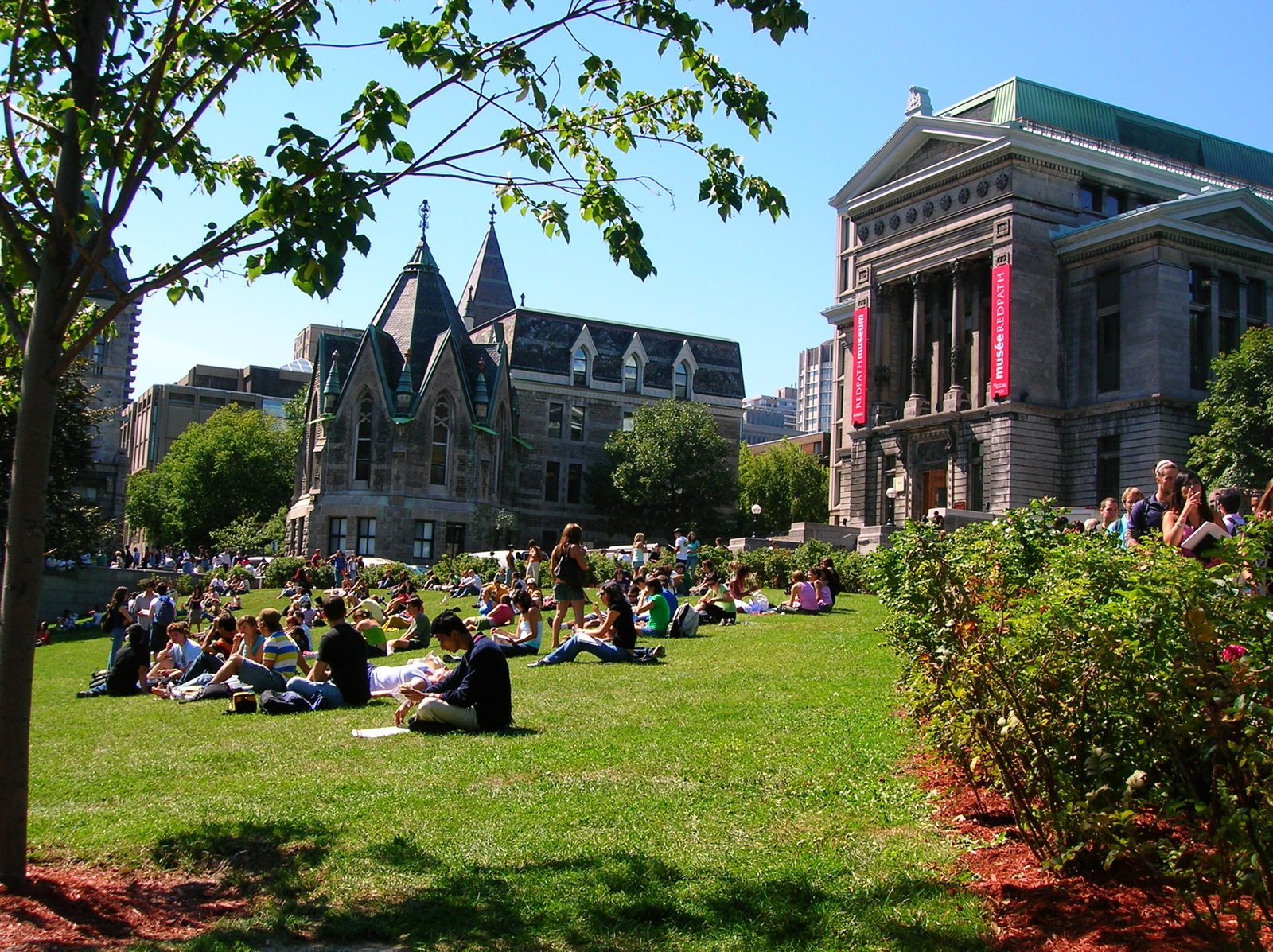 McGill University landscape